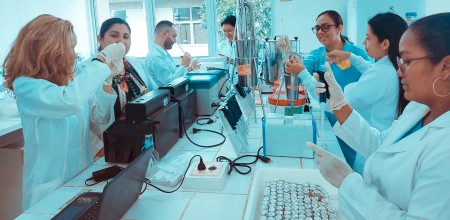 FAPEAM. Os dados revelaram moderada atividade antimicrobiana da planta lacre. Foto. Acervo da pesquisadora Dominique do Carmo
