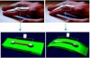 Cientistas conseguem gerar eletricidade em dispositivos nanotecnológicos instalados nos dedos, que poderá ser usada para alimentar eletrônicos portáteis ou implantes (divulgação/Fapesp)