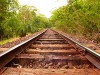 Trilhos causariam menos impacto à floresta (Fonte: Divulgação)
