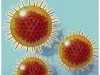 Ilustração do vírus do herpes simples (Reprodução)