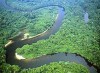 Floresta amazônica (Foto:  Divulgação)