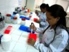 Trabalhos são feitos com apoio de pesquisadores da Embrapa (Fotos: Divulgação/Embrapa)