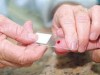 Pesquisa utiliza sangue de pessoas que moram em áreas endêmicas e que nunca tiveram a doença (Foto:Arquivo A Crítica)