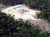 Solo Amazônico (Foto: Divulgação)