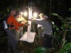Pesquisadores durante coleta (Foto: Divulgação)