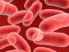Pesquisadores realizaram 702 coletas de amostras de sangue em município do AM (Imagem: divulgação)