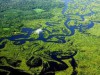 Manutenção da floresta ajuda no equilíbrio do meio ambiente (Foto: divulgação)