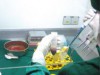 O projeto é coordenado pela doutora em imunologia Adriana Malheiro (Foto: Hemoam)