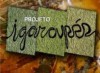 Projeto já é desenvolvido no Amazonas há dez anos