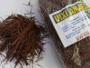 Uixi-Amarelo, uma das espécies pesquisadas (Foto: Giovanna Consentini)
