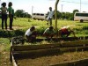 Alunos na horta criada pelo projeto (Foto Divulgação)
