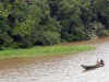 Programa visa fixar doutores para realizarem pesquisas no Amazonas (Foto: divulgação)