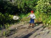 Técnica de coleta de borboletas (Foto: Divulgação)