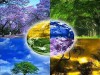 Crescimento deve respeitar limites da natureza (Ilustração/Divulgação)