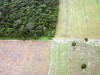 Área de floresta desmatada no Pará para uso na agricultura (Foto: Leoffreitas/Flickr)