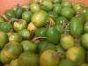 Fruto do cubiu (Foto: Divulgação)
