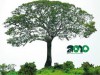 Logo da SNCT (Divulgação)
