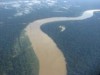 Potencial da biodiversidade amazônica será um dos alvos de debates (Foto: Elizabeth Cavalcante)