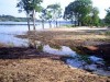 Margem do Rio Miriti assoreada (Foto: Divulgação)