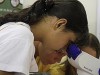 Alunos desenvolvem conhecimentos científicos (Foto:Giovanna Consentini)