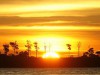 Por do sol amazônico  (Foto: Ricaredo Oliveira)