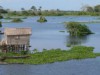 Estudos sobre ambientes aquáticos aumentam na Amazônia (Foto: Divulgação)