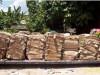 Papel e papelão descartados podem ser reaproveitados (Foto: Divulgação)