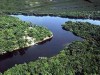 Temas amazônicos em livros (Foto: Divulgação)