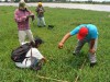 Coleta de plantas na pastagem de várzea de Manaus-AM (Foto: Divulgação)