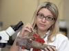Pesquisadora Sandra Zanotto considera a Amazônia como grande laboratório (Foto: Ricardo Oliveira)