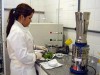 Pesquisas acontecem no campo e no laboratório (Foto: Divulgação)