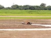 Período de seca intensa no Amazonas prejudicou o Estado (Foto: Ricardo Oliveira)