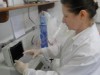 Pesquisadora estudou comportamento do vetor da dengue entre as estações chuvosa e seca no Estado (Foto: Anamaria Leventi)