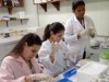 Estudantes serão selecionados para atuar em diversas áreas na Embrapa (Foto: Divulgação)