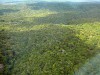 Sistema permite maior planejamento sobre manejo florestal (Foto: Divulgação/Envolverde)