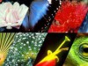 Explorar o potencial da biodiversidade é o caminho (Foto: Divulgação)