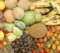 Frutas da Amazônia podem colaborar para a redução de peso na adolescência ( Foto: Eduardo Gomes)