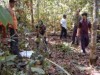 Professores terão a oportunidade de aprender mais sobre a floresta amazônica (Foto: Josiane Santos)