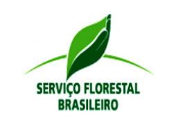 Imagem da notícia - Serviço Florestal Brasileiro investe em comunidades da Mata Atlântica e Amazônia