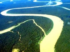 Imagem da notícia - Fundação francesa investe 3,2 mi de euros em pesquisa na Amazônia