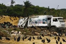Imagem da notícia - Pesquisadora de Parintins analisa fungos para combater poluição ambiental