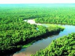 Imagem da notícia - Banco Mundial dará US$ 16 mi para áreas protegidas na Amazônia