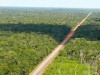 vista aérea da BR-319 (Reprodução)
