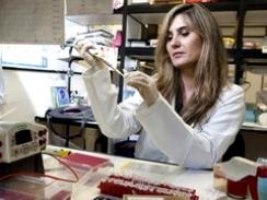 Imagem da notícia - Trajetória de luta marca o papel da mulher na Ciência