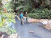 Pesquisadores durante coleta dos insetos (Foto: Reprodução)