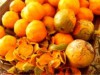 Sementes de frutas como tucumã podem se transformar em biojoias (Foto: Reprodução)