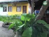 Hostel Amazonas (Foto: TV FAPEAM)