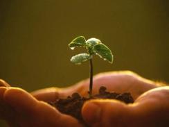 Imagem da notícia - Seminário vai abordar experiências agroecológicas