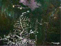 Imagem da notícia - Florestas comunitárias podem ajudar a preservar a Amazônia