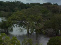 Imagem da notícia - Especial Cheias – Ciclo das águas: Episódio 5 diferentes olhares sobre a cheia na Amazônia